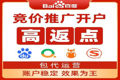 案例分析：竞价推广实战中的困境与突破